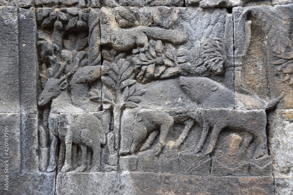 Tierrelief im Borobudortempel auf Java