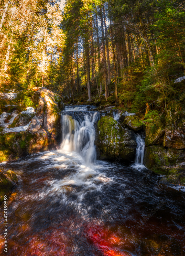 waterfall in the forest