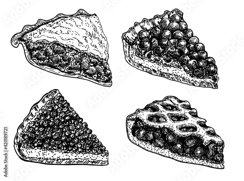 Homemade pie set. Hand drawn sketch dessert. Food elements. Vector ink hand drawn illustration. Menu, sign board template. Sketch slice of fruit tart. Pies with meat, berries, fruits.