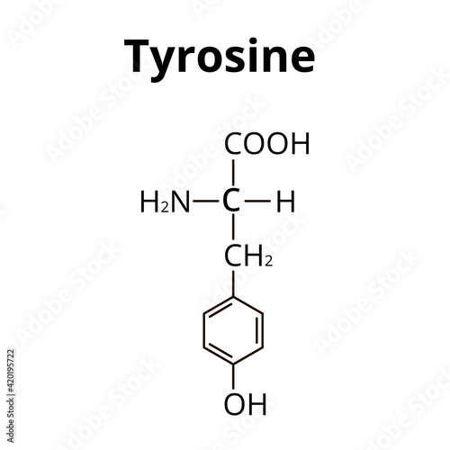 The amino acid Tyrosine. Chemical molecular formula of Tyrosine amino acid. Vector illustration on isolated background