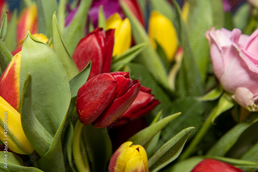 A beautiful bunch of colourful flowers, red tulips and green petals A beautiful bunch of colourful flowers, red tulips and green petals