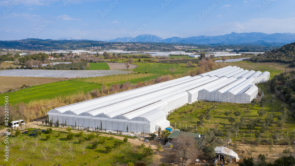 Aerial view of greenhouse on farm land. 