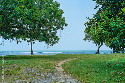 A green road to the seashore, Cilegon, Indonesia. photo