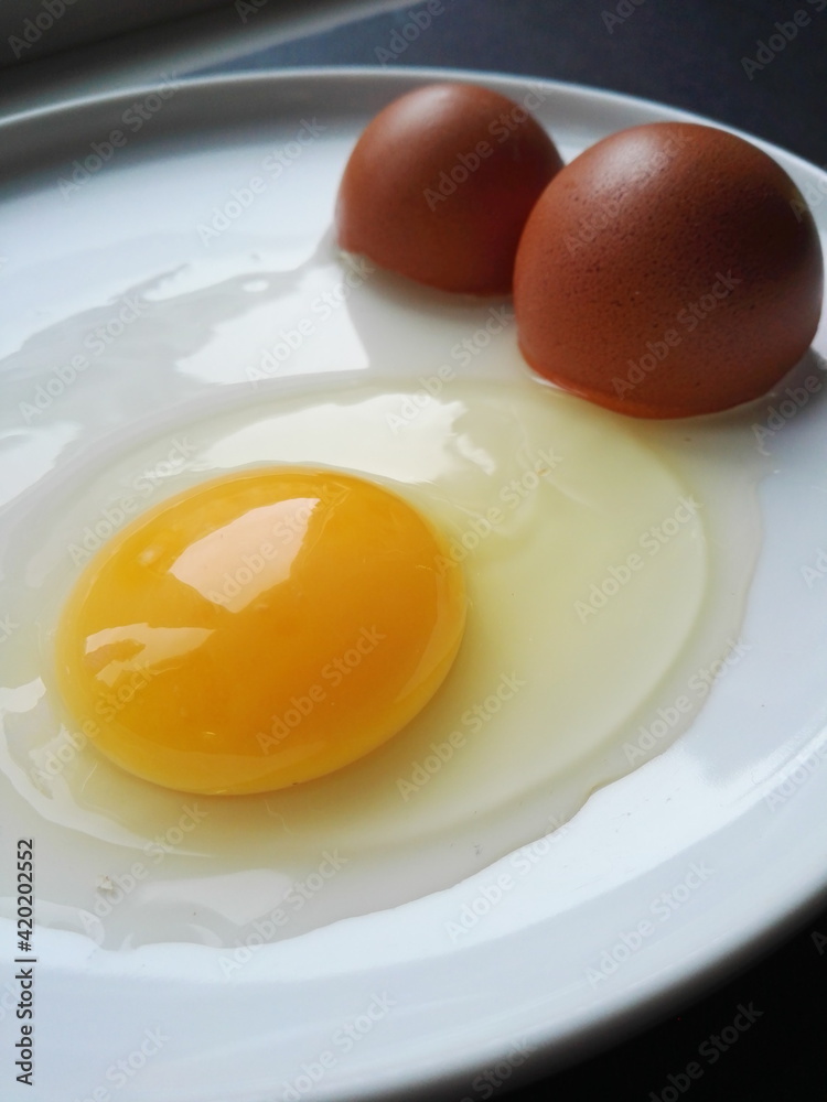 Egg on a white plate. Yellow yolk, egg white and shells. Egg on a white plate. Yellow yolk, egg white and shells.