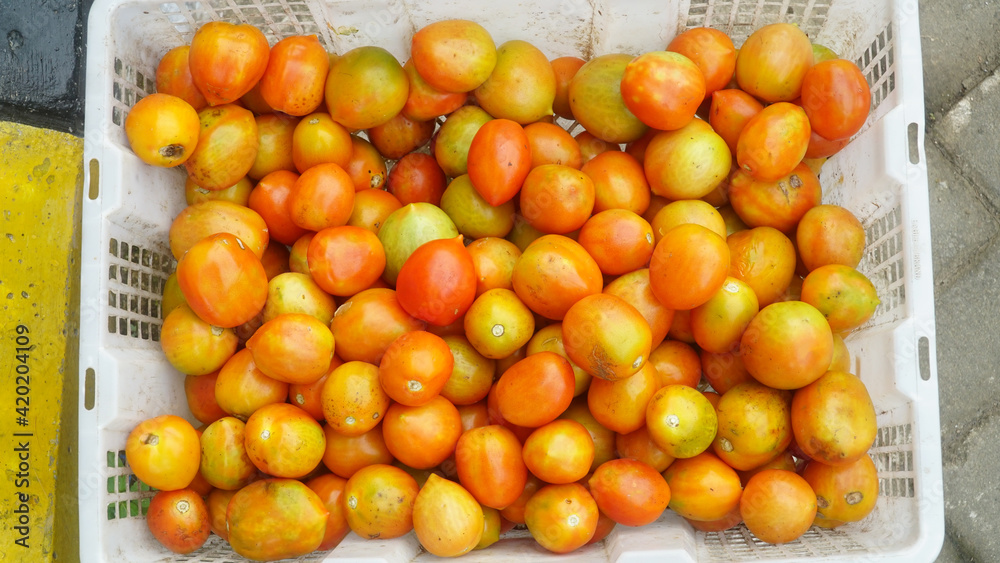 Orange tomatoes in white basket