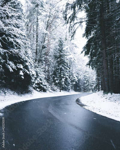 Road with Snow in the Bavarian Forest photo