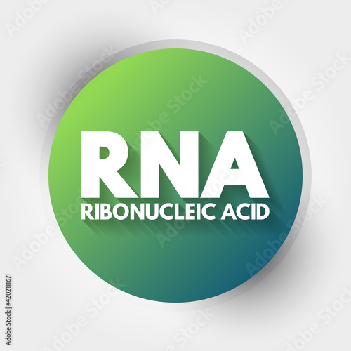 RNA - Ribonucleic acid acronym, medical concept background