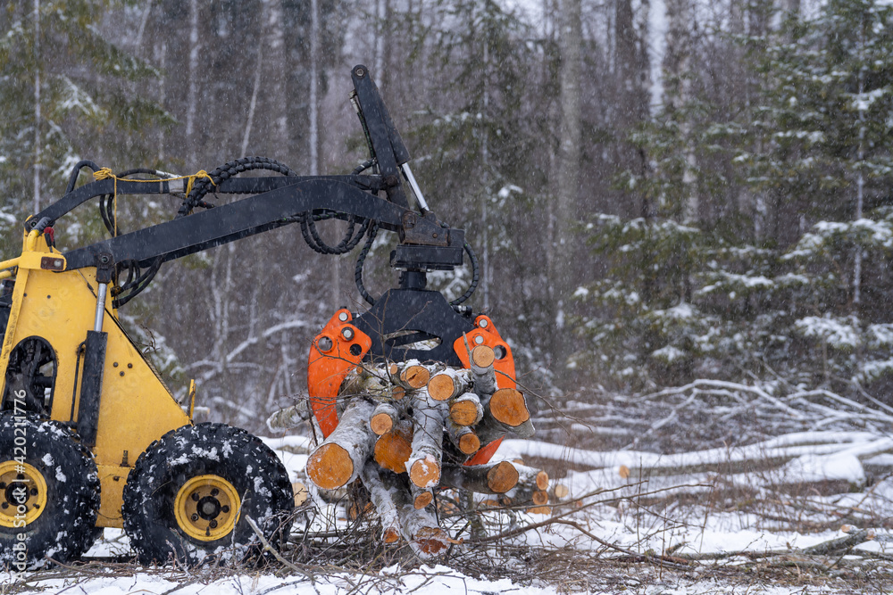 small stand-on mini skid steer with grapple full of wooden logs