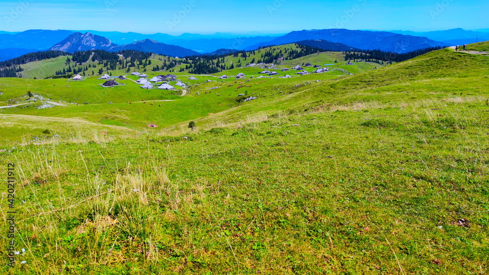 Mountain pasture farms Velika Planina in Slovenia