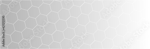 Hexagons connected in a geometric sequence as a background in a panoramic view.