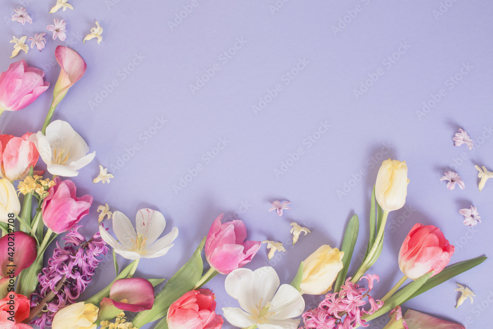 multicolored spring flowers on purple background multicolored spring flowers on purple background