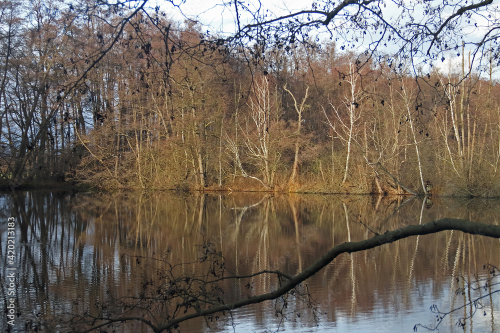Laubwald Laubwald