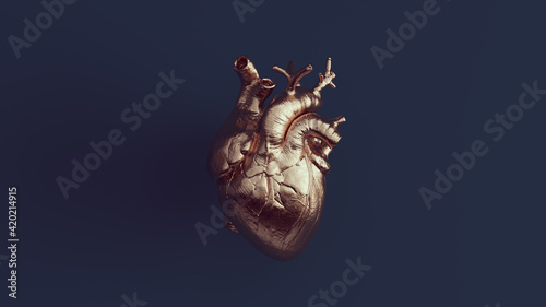 Bronze Human Heart Anatomical with Navy Blue Background 3d illustration render	
 photo