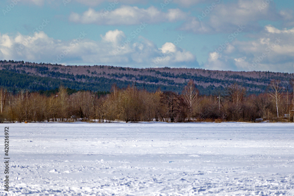 Winter view of the forest on the opposite bank of the river Winter view of the forest on the opposite bank of the river
