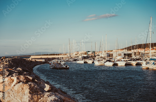 Boats in the harbour