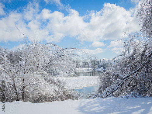 Frost on trees in a Beautiful winter landscape with Ice photo