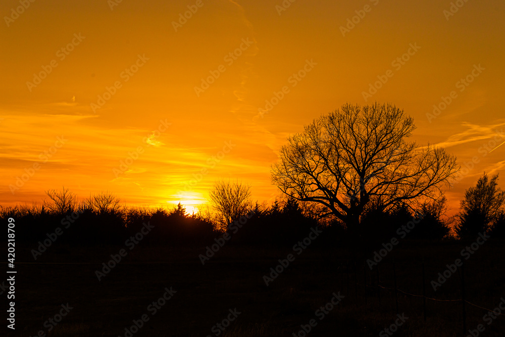 Fototapeta premium Sunset over rural landscape
