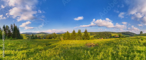 Mountain summer landscape, meadow, fir trees and pines, blue sky with clouds. Horizontal panorama