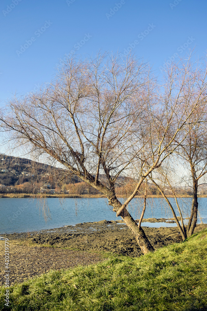 Tree on riverbank in early spring. Traces of cleaning river - piles of silt on bank. Lawn of green grass. In background mountain with houses and blue sky. Rural landscape. Close-up. Copy space. Tree on riverbank in early spring. Traces of cleaning river - piles of silt on bank. Lawn of green grass. In background mountain with houses and blue sky. Rural landscape. Close-up. Copy space.