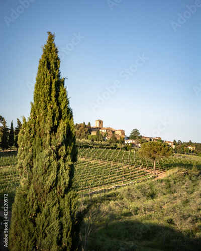 paesaggio toscano con cipresso  vigne e torre del paese in cima alla collina  borgo di panzano in chianti  toscana  campagna di greve in chianti