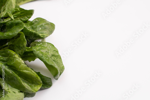 Spinach close-up on a white background. Healthy eating. Vegetarianism. space for writing