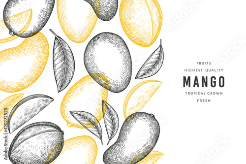 Hand drawn sketch style mango banner. Organic fresh fruit vector illustration. Retro mango fruit design template