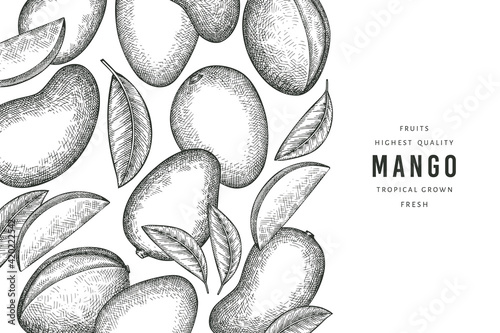 Hand drawn sketch style mango banner. Organic fresh fruit vector illustration. Retro mango fruit design template