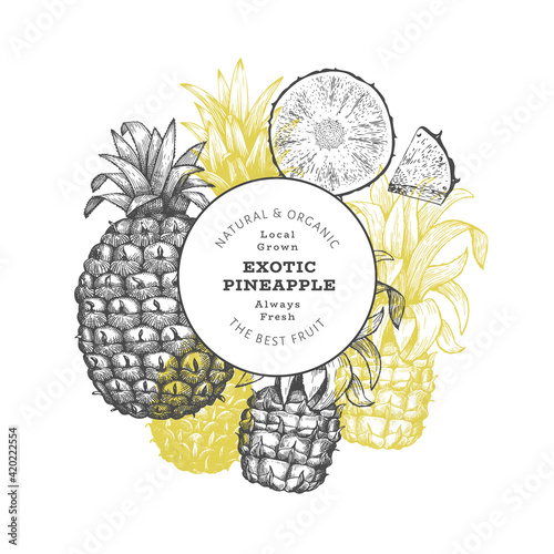 Hand drawn sketch style pineapple banner. Organic fresh fruit vector illustration. Engraved style botanical design template.