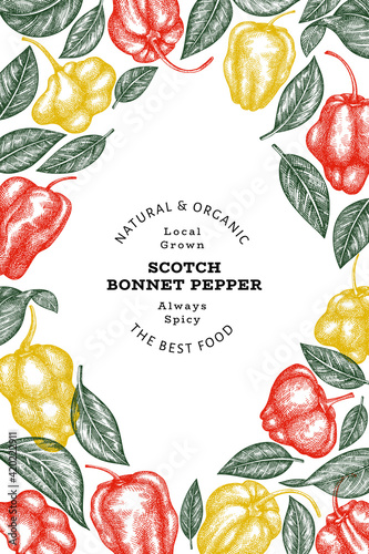 Hand drawn sketch style scotch bonnet pepper banner. Organic fresh vegetable vector illustration. Retro cayenne pepper design template