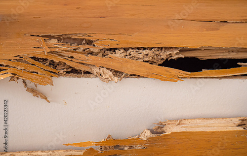 House stairs that were bitten by termites. The wood was broken because it was destroyed by termites.