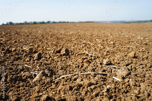 Dry empty field ready for grain planting in spring, agriculture concept