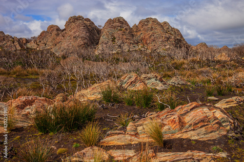 Beautiful, scenic ,bushland, around Sarah Anne Rocks.  Tarkine Coast. Arthur Pieman Conservation Area. North Western Tasmania, Australia. photo