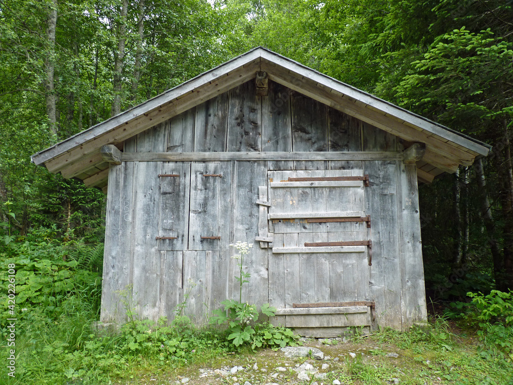 Hütte im Wald Hütte im Wald