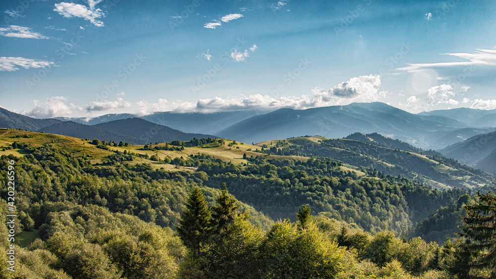 Naklejka premium Карпаты из Синевирского перевала