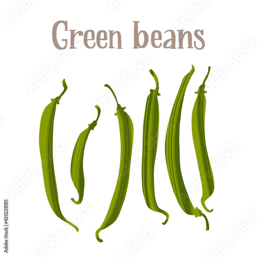 Fresh young green beans pods. Healthy nutrition product.