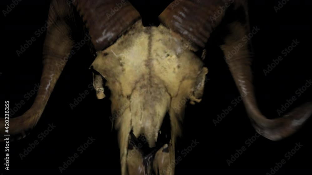 Horned Skull Transitions 4 in 1 - video clips with alpha channel, showing a large horned skull moving in different ways. It will provide an awesome transition or overlay for your projects. Horned Skull Transitions 4 in 1 - video clips with alpha channel, showing a large horned skull moving in different ways. It will provide an awesome transition or overlay for your projects.