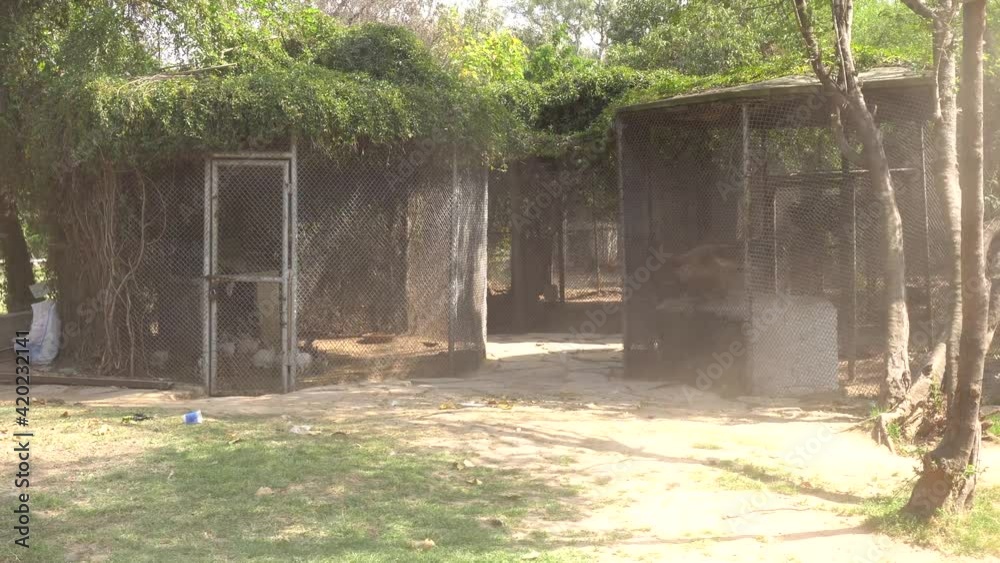 A lot of soil dust is blowing with wind in a park.