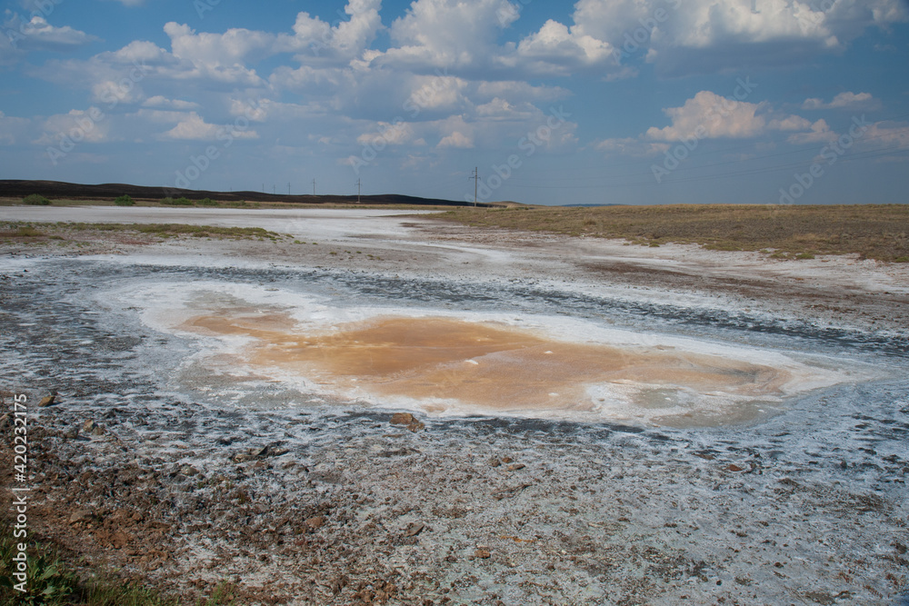 Salt marsh in Kazakh steppe. Summer time.
