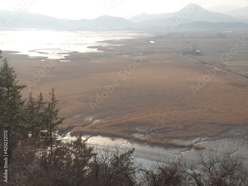 fog in the mountains