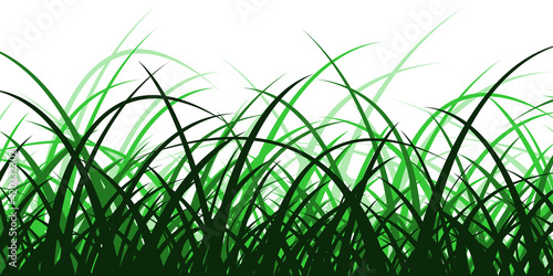 Bordure Herbes Vertes
