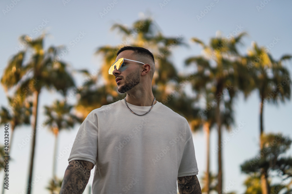 Obraz premium Chico joven atractivo con tatuajes en zona con palmeras