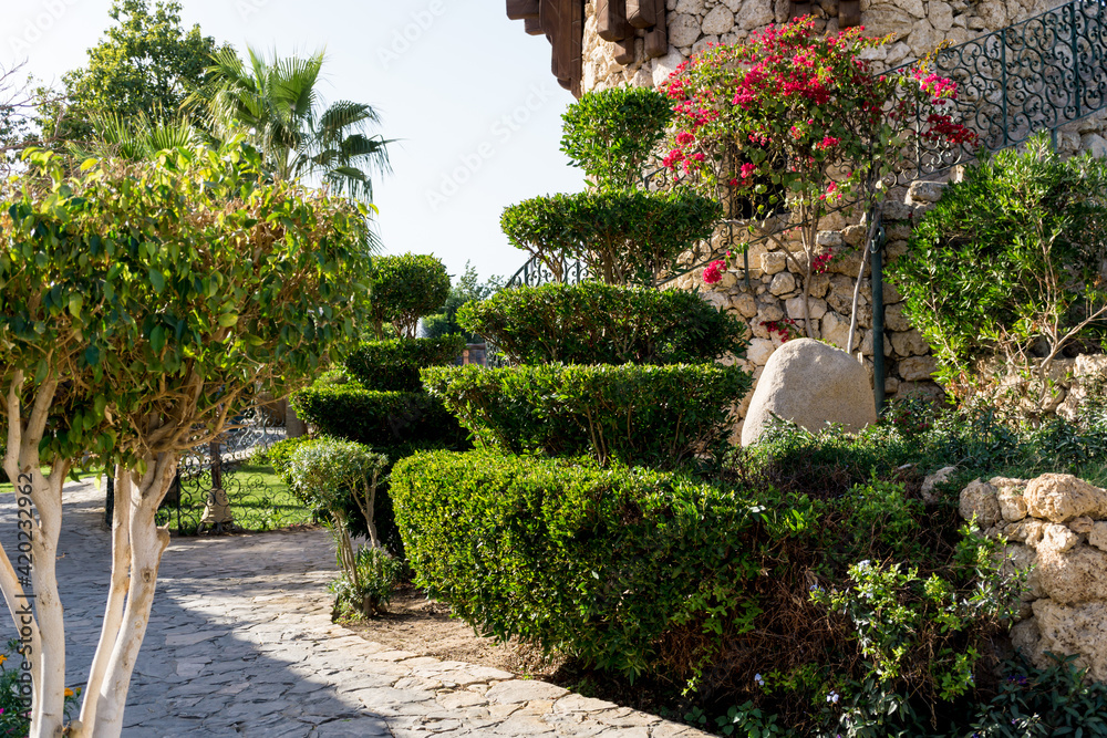 Luxury landscape design of the tropical summer garden