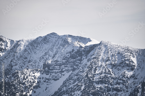 snow covered mountains