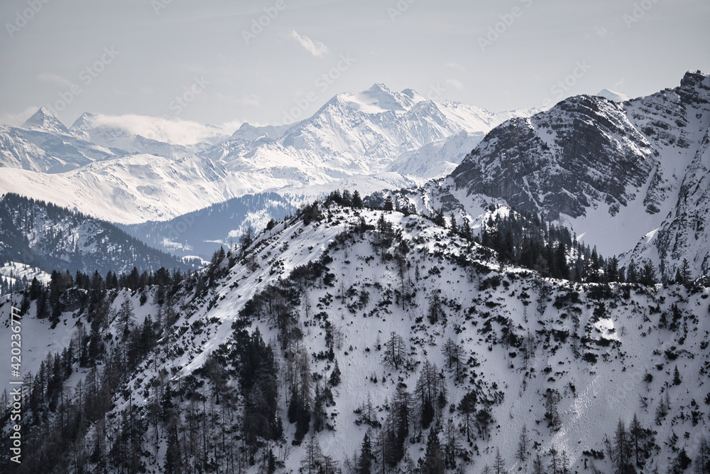 Obraz premium snow covered mountains in winter with forrest