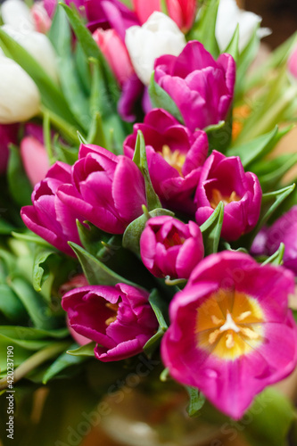  A large bouquet of multi-colored bright tulips  a bouquet for a woman for a holiday or as a gift. Coloring bright splash or background for text