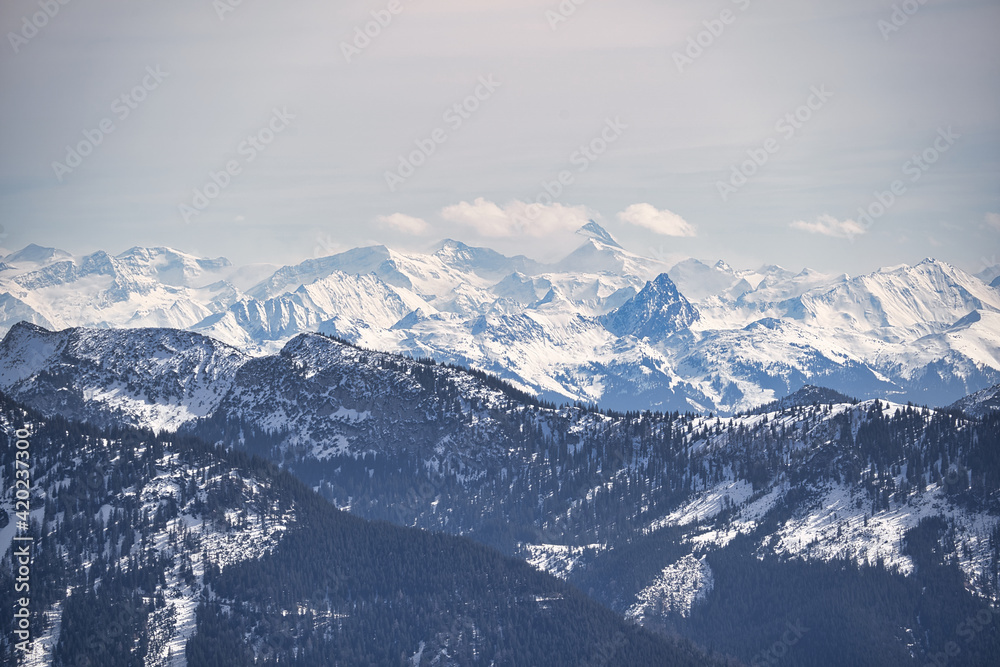 snow covered mountains in winter with forrest