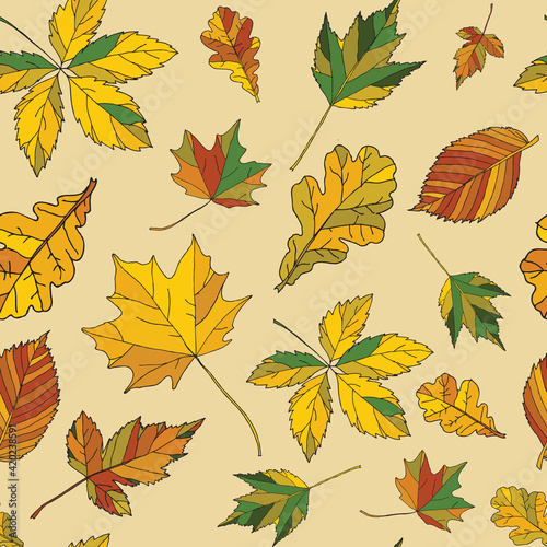 Seamless pattern with color autumn leaves