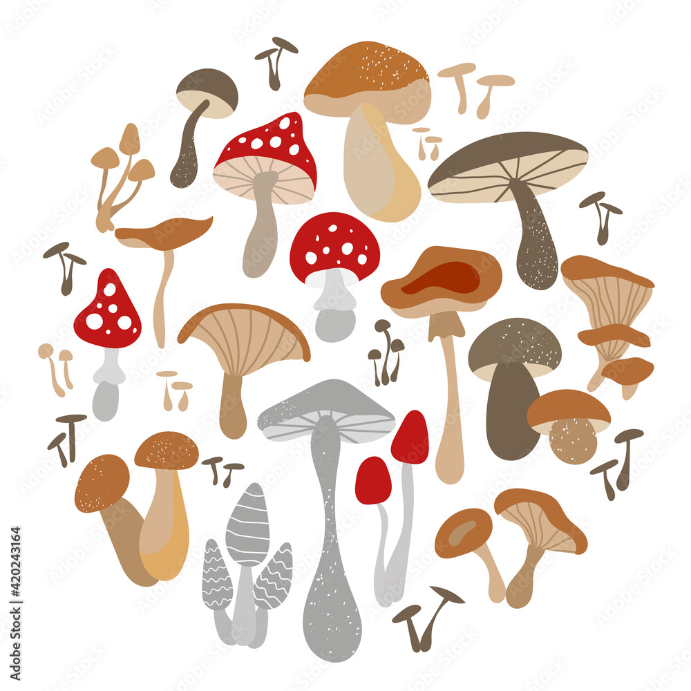 Mushroom set of vector illustrations isolated on white. White mushroom, chanterelles, honey agarics, mushrooms, fly agarics, morels. A set of ingredients for the witch's potion. Cartoon style. Mushroom set of vector illustrations isolated on white. White mushroom, chanterelles, honey agarics, mushrooms, fly agarics, morels. A set of ingredients for the witch's potion. Cartoon style.