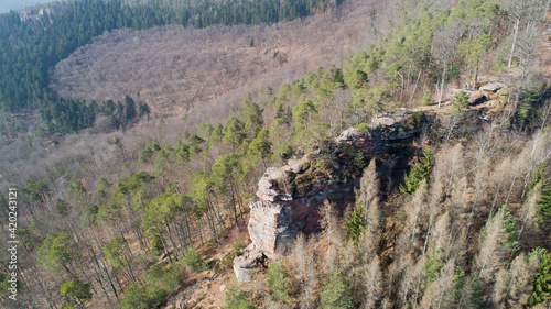 Château dans la forêt en drone