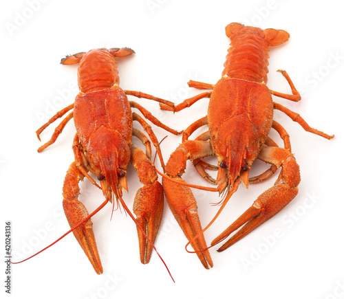 Two boiled crayfish.